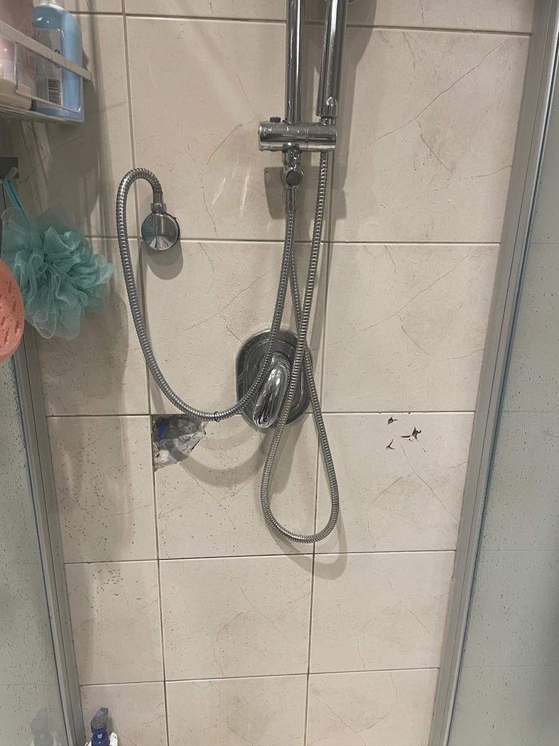 תמונת לפני העבודה